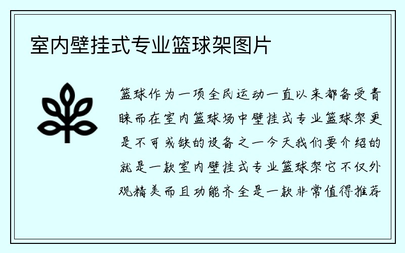 室内壁挂式专业篮球架图片