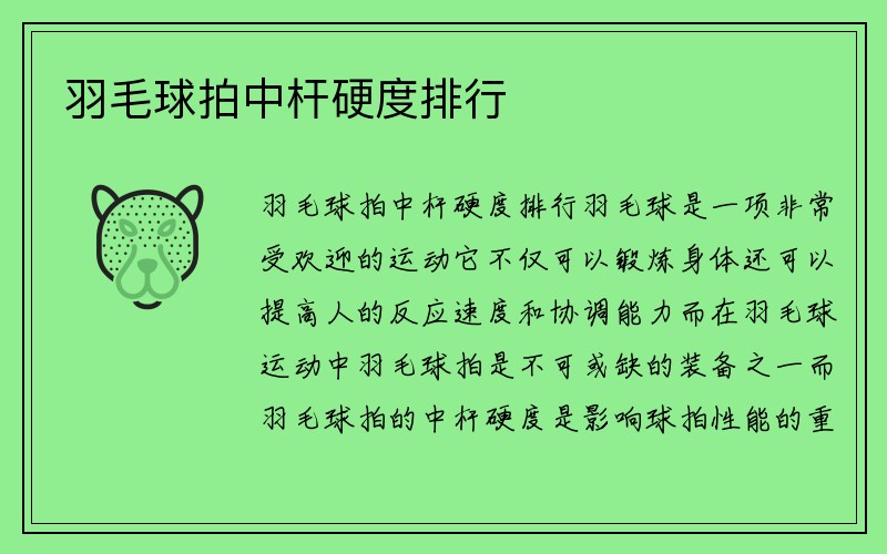 羽毛球拍中杆硬度排行