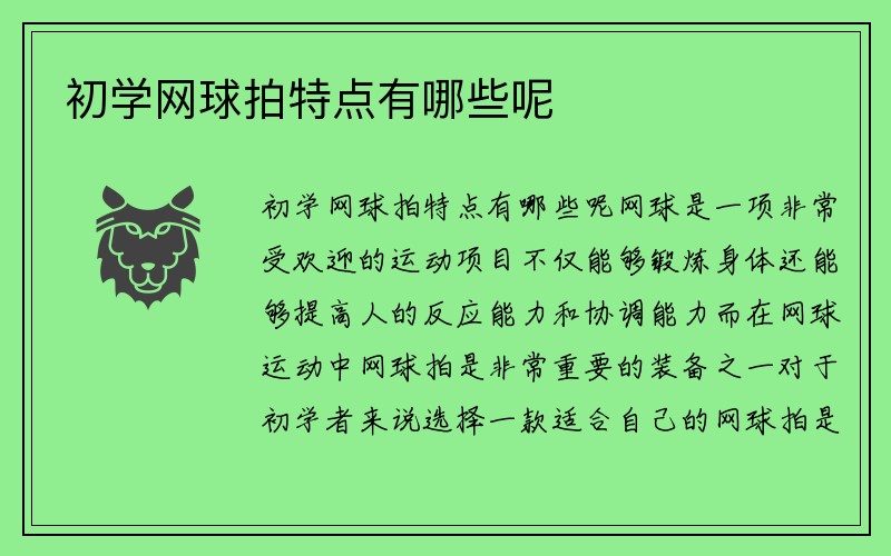 初学网球拍特点有哪些呢