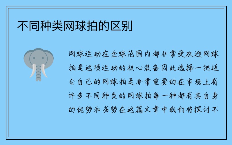 不同种类网球拍的区别